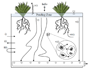 Publications | Liu Research Group